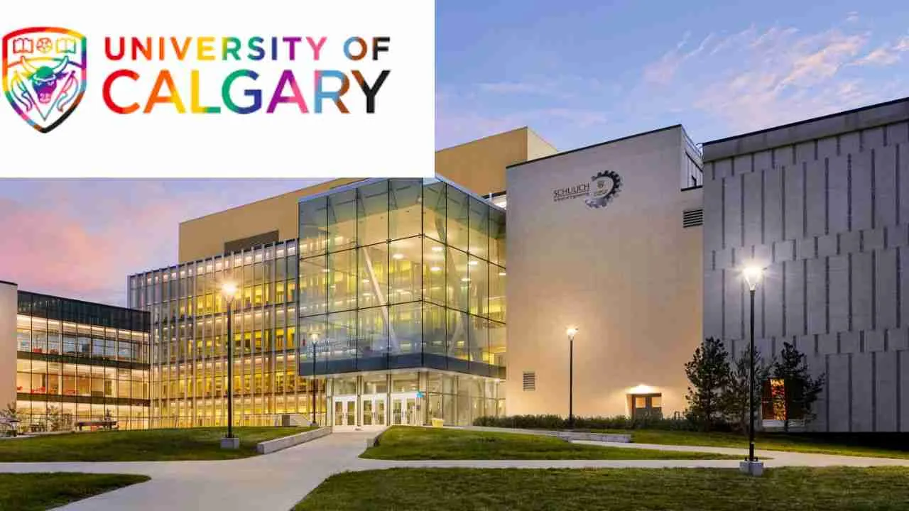 University of Calgary International Entrance Scholarship : bourse d’admission au Canada pour étudiants africains